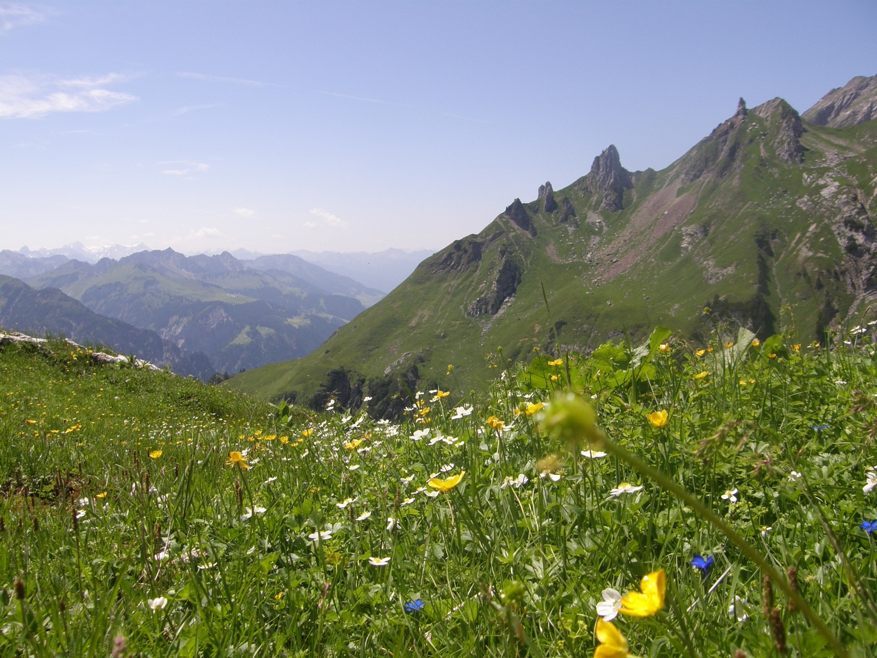 blick ins tal kunkelspitzen bp gwt small