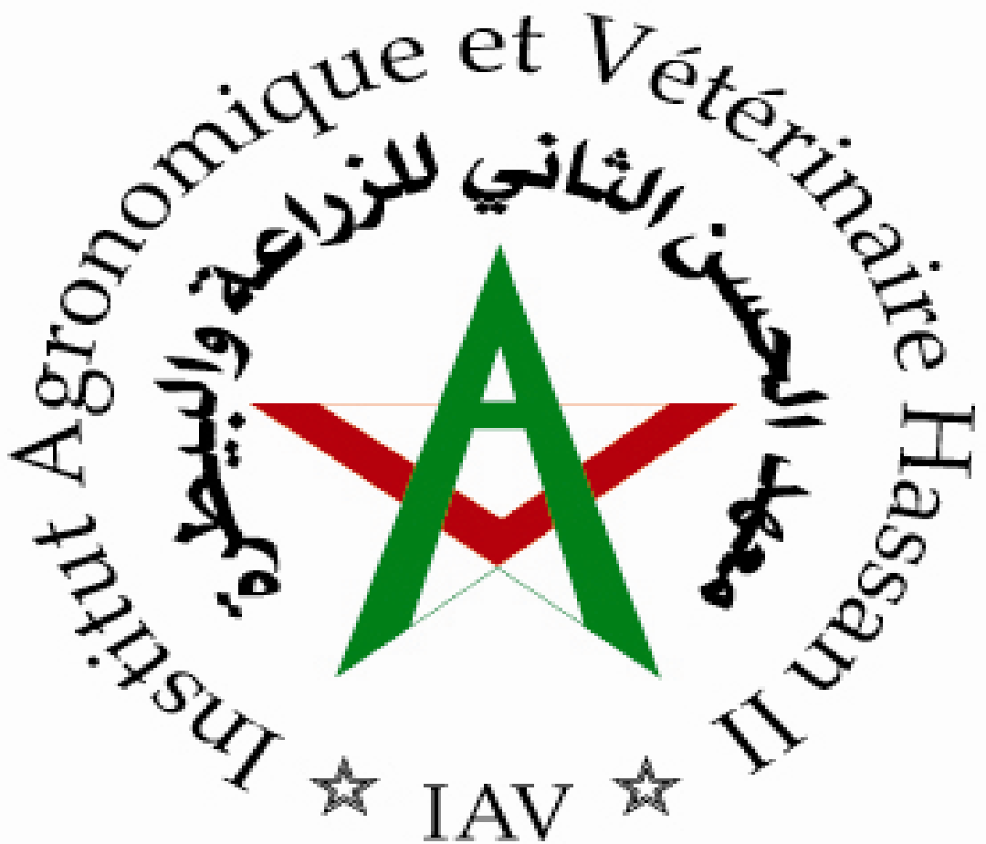 32 IAV logo